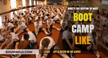 Navy Boot Camp Routine: A Day-to-Day Breakdown of Recruit Life