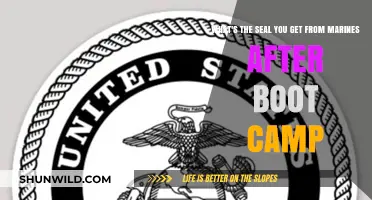 Earning the Eagle, Globe, and Anchor: Marine Corps Boot Camp Seal Explained