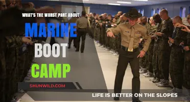 Marine Boot Camp's Harshest Reality: The Worst Part Revealed
