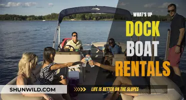 Exploring the Seas: Boat Rentals with 'What's Up Dock