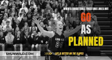 Trick Shot Fails: When Basketball Plans Go Awry