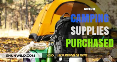 When to Buy Camping Gear: A Seasonal Guide for Outdoor Enthusiasts