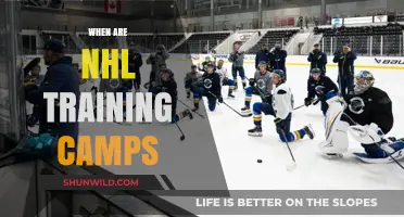 NHL Training Camps: Dates and Details for the Upcoming Season