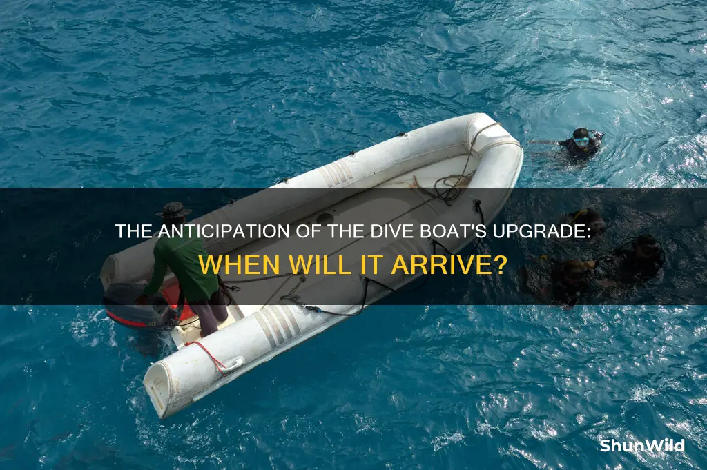 when are they going to raise the dive boat