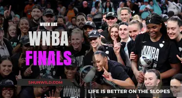 WNBA Finals: When the Action Heats Up!