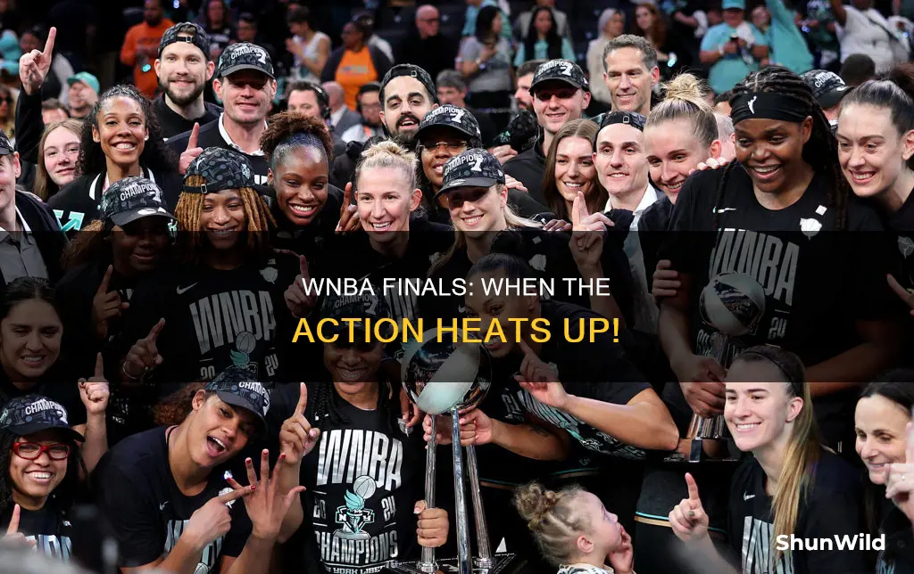 when are wnba finals