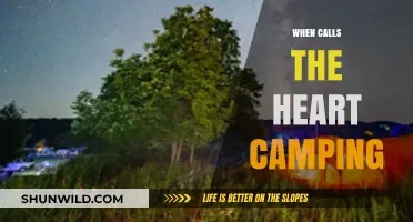 Embracing Nature's Call: A Heartfelt Guide to Camping Bliss