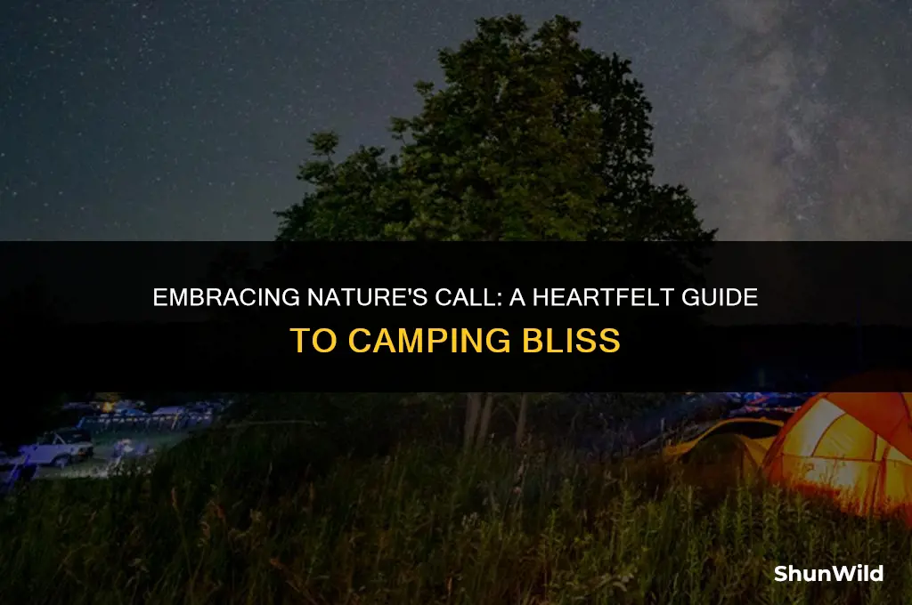when calls the heart camping