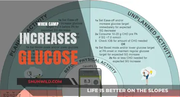 Decoding the Connection: How Camp Activities Boost Glucose Levels
