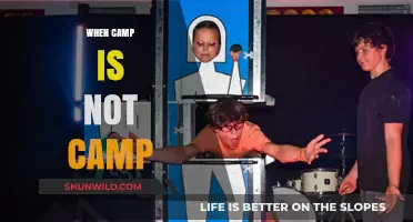 Decoding the Illusion: When 'Camp' Isn't Really Camp