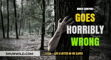 When Nature Bites Back: Camping Horror Stories Unveiled