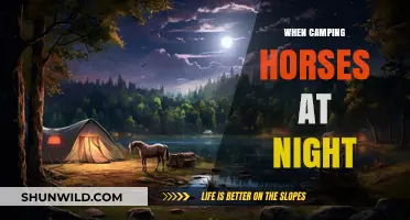 Under the Stars: A Guide to Camping with Horses at Night