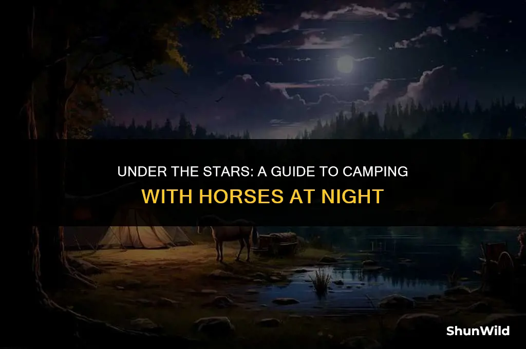 when camping horses at night