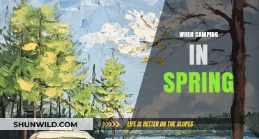 Embracing Nature's Awakening: A Spring Camping Adventure
