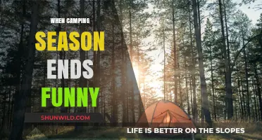 Laughter in the Off-Season: Camping Jokes to Keep You Entertained