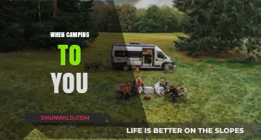 Embracing the Wild: A Journey into the Heart of Camping