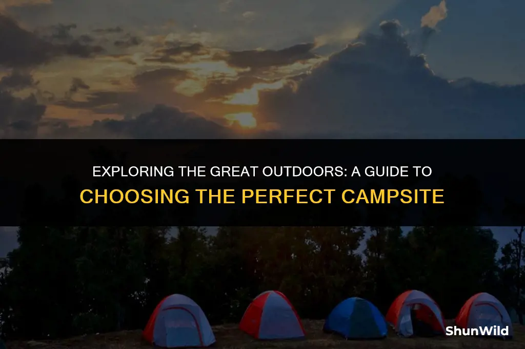 when camps where do go