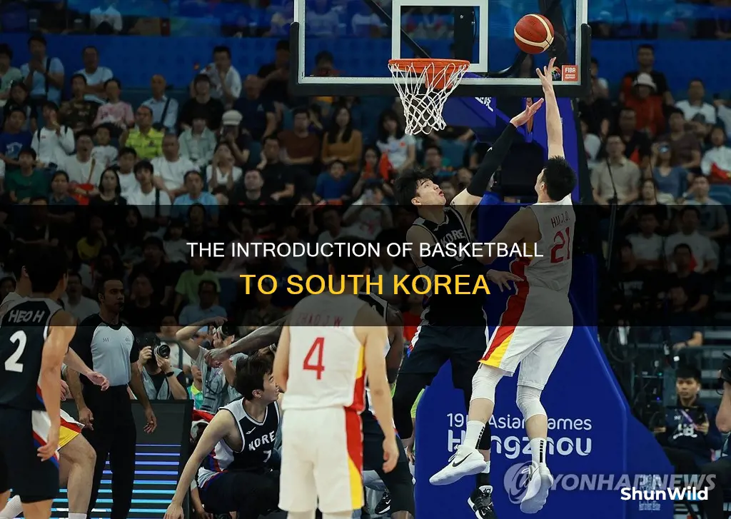 when did basketball start in south korea