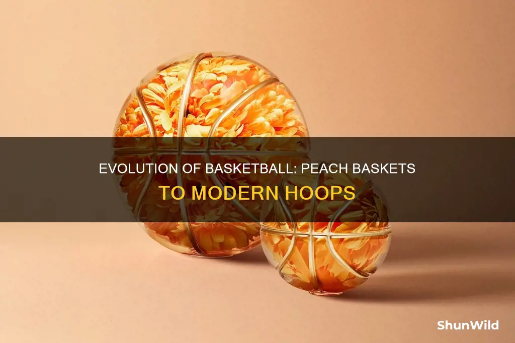 when did basketball stop using peach baskets