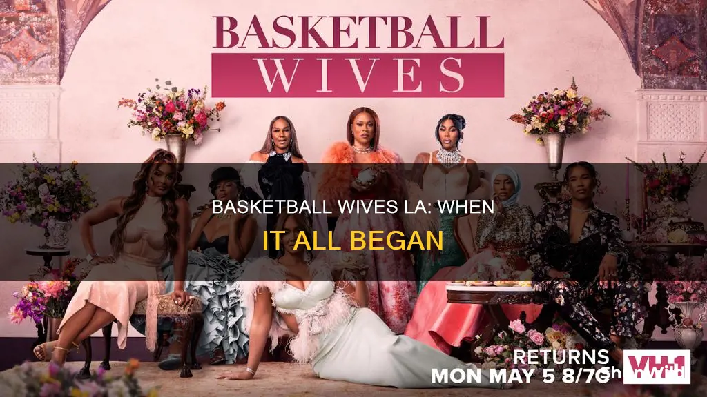 when did basketball wives la start