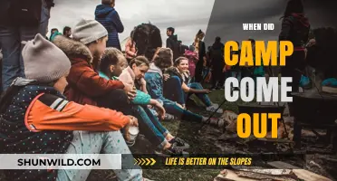 Exploring the Origins: When Did Camp Culture Emerge?