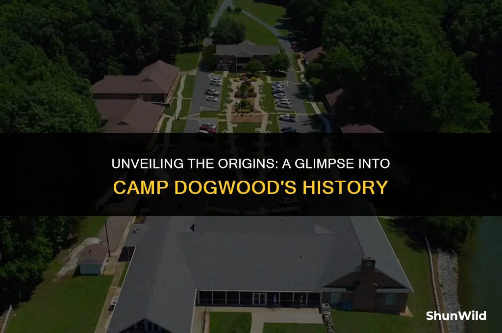 when did camp dogwood start