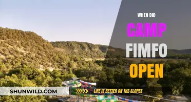 Exploring the Origins: When Did Camp Fimfo Open Its Doors?