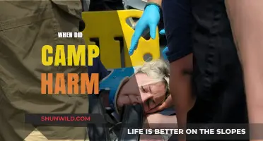 Unveiling the Dark Side: When Summer Camps Cause Harm