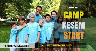 Unveiling the Inspiring Journey of Camp Kesem: A Timeline