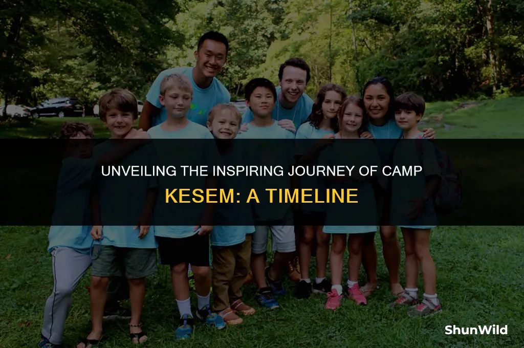when did camp kesem start