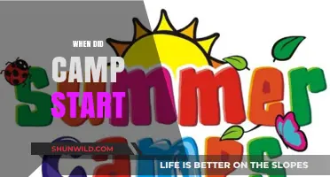 Summer Camp Chronicles: A Journey Through Time and Traditions