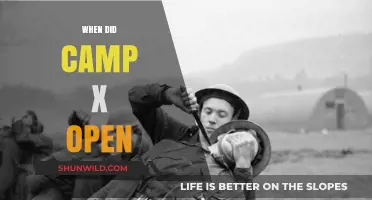 Unveiling the Origins: A Historical Look at Camp X's Opening