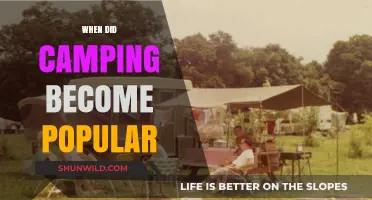 Exploring the Rise of Camping: A Journey Through Time