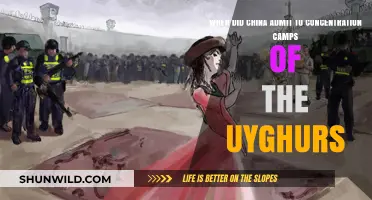 China's Uyghur Camps: Acknowledgment and Global Response Timeline