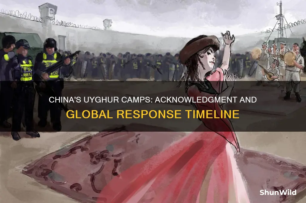 when did china admit to concentration camps of the uyghurs
