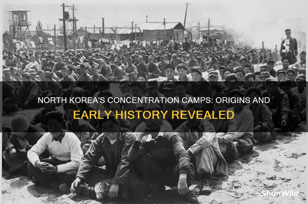 when did concentration camps start in north korea
