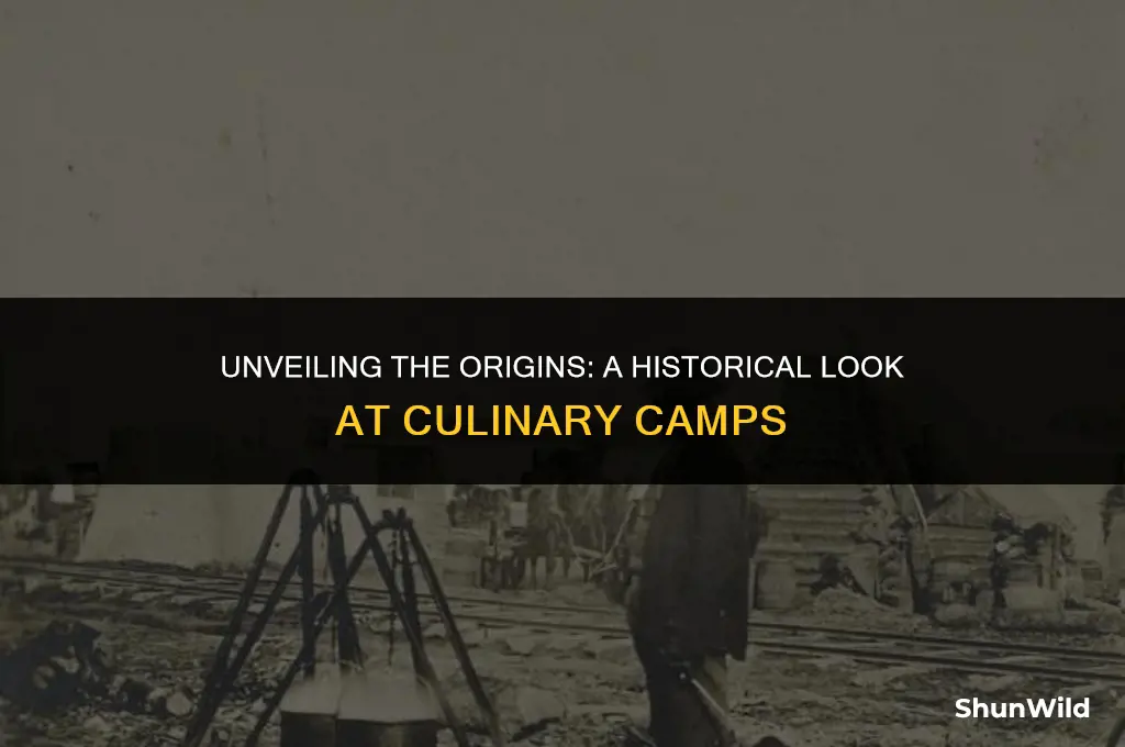 when did cul camps start
