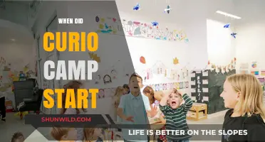 Exploring the Origins: A Look Back at Curio Camp's Inception