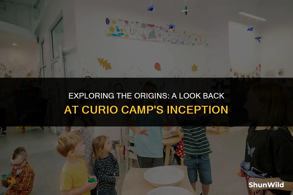 when did curio camp start