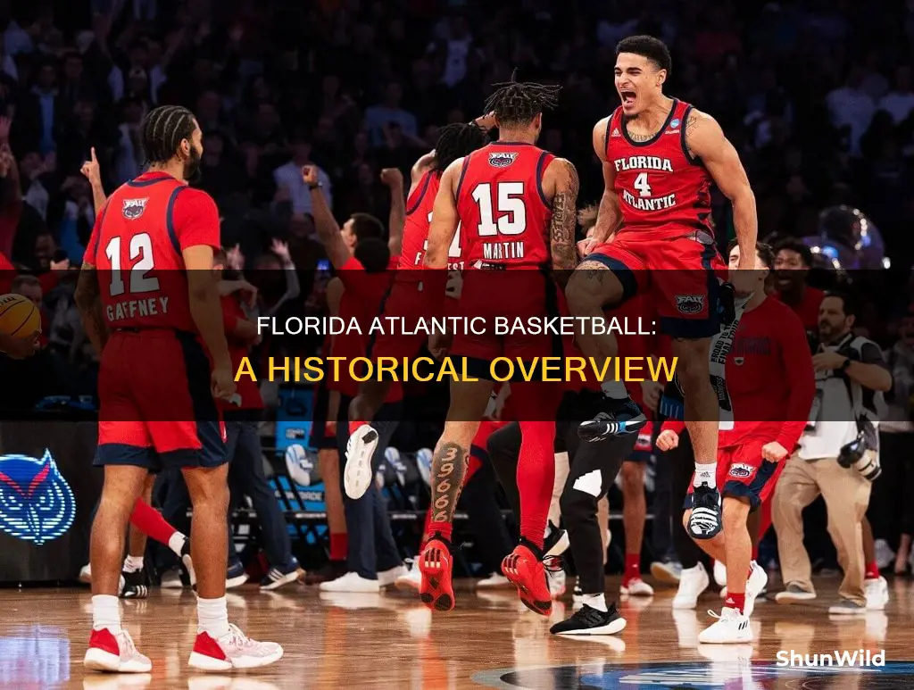when did fau basketball start