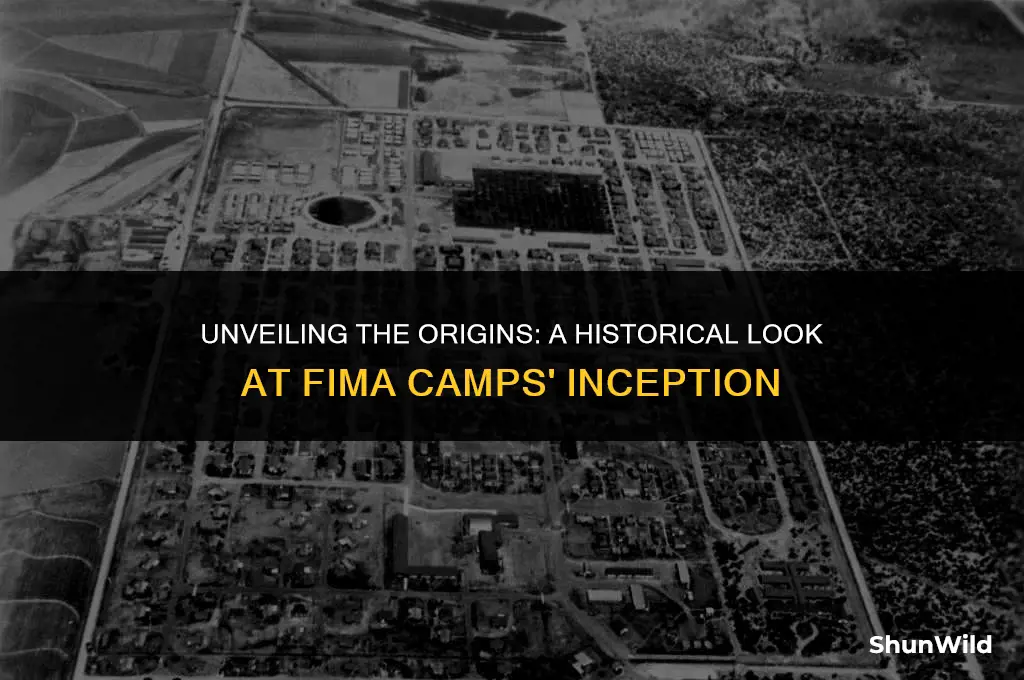 when did fima camps started