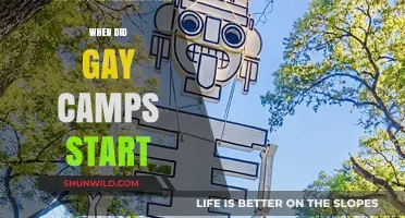 Exploring the Origins: A History of Gay Summer Camps