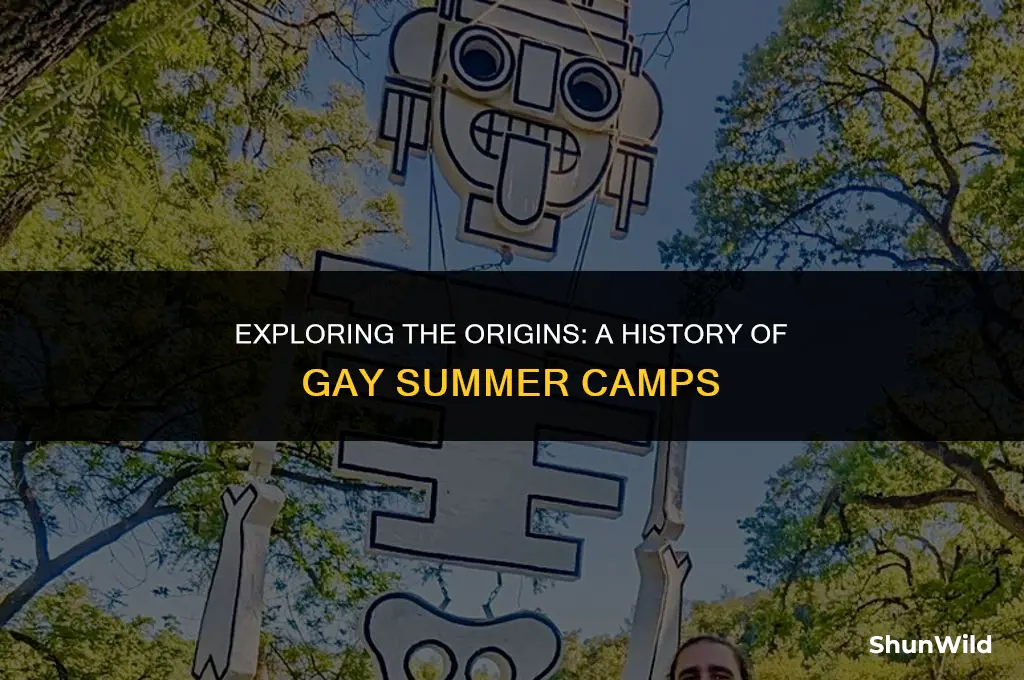 when did gay camps start