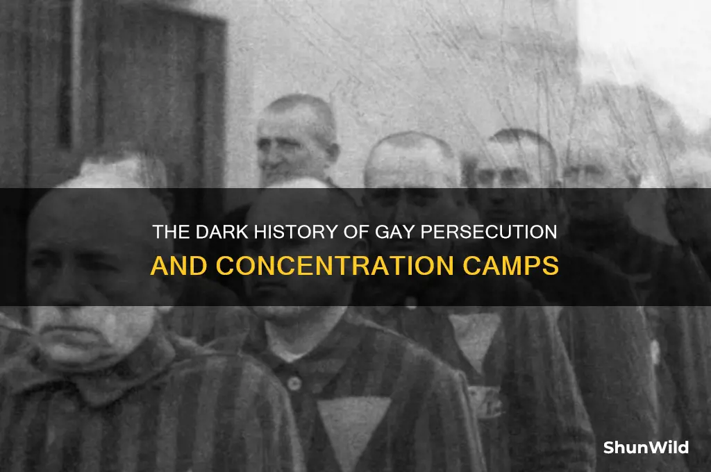 when did gay concentration camps start