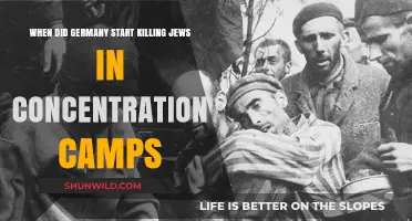 The Dark Timeline: Germany's Systematic Murder of Jews in Camps