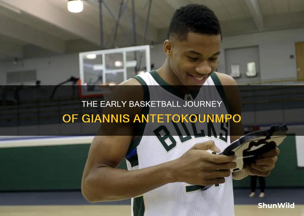 when did giannis start basketball