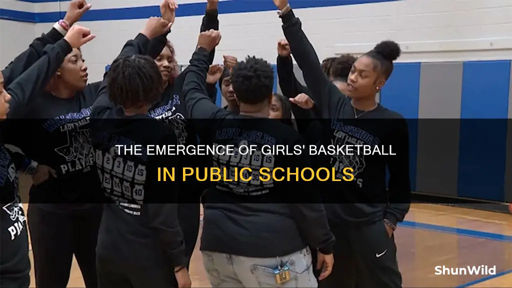 when did girls basketball in public school