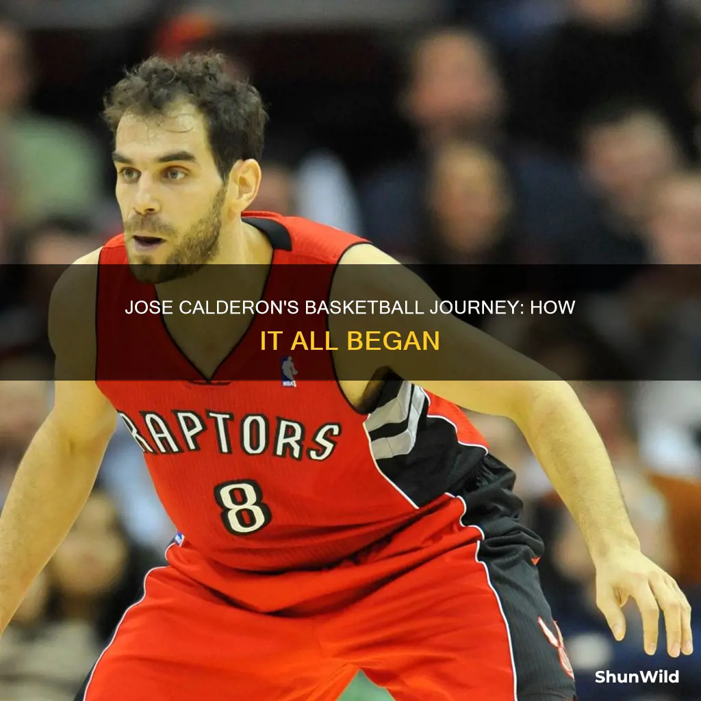 when did jose calderon start basketball