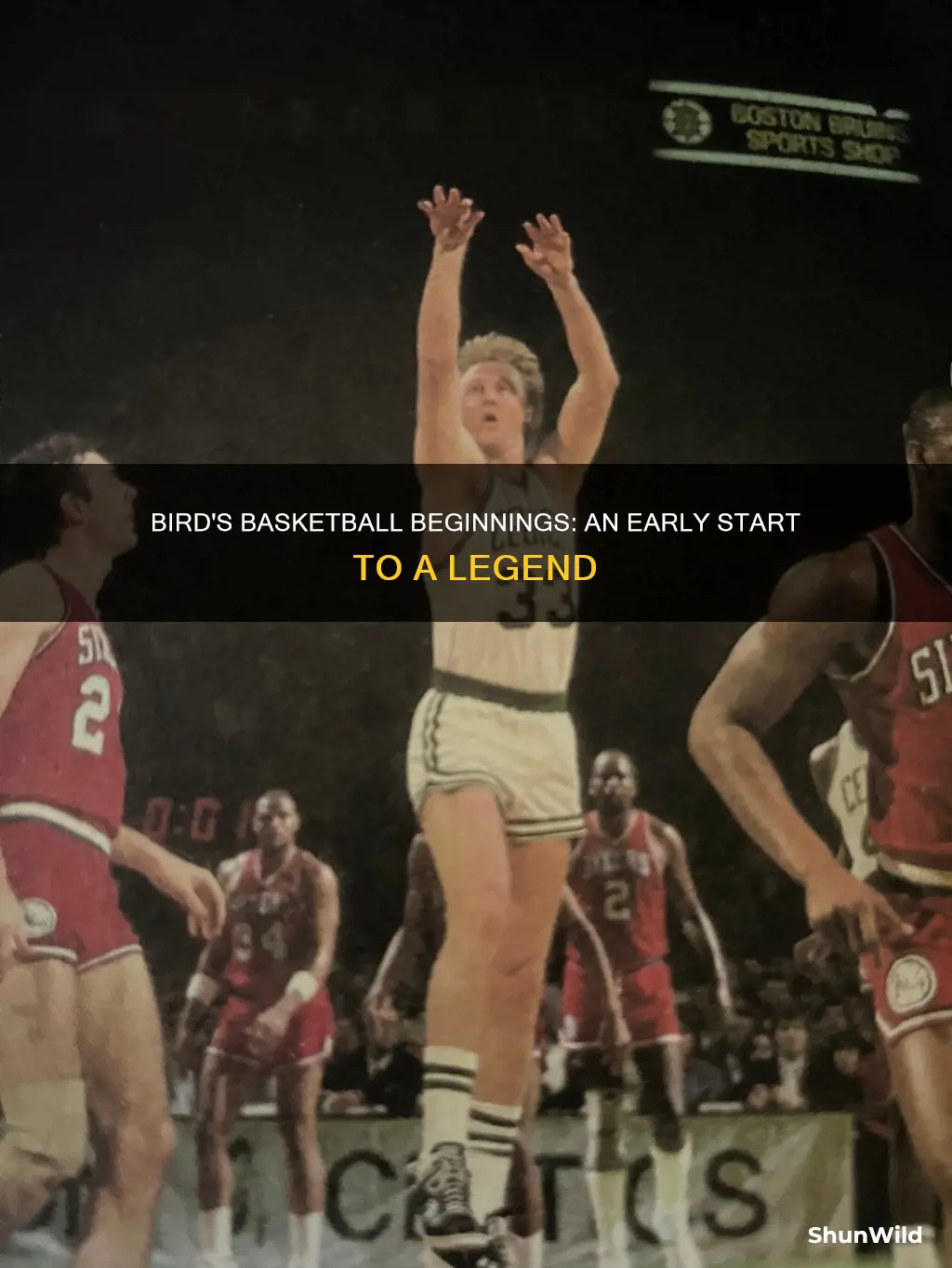 when did lary bird start doing basketball