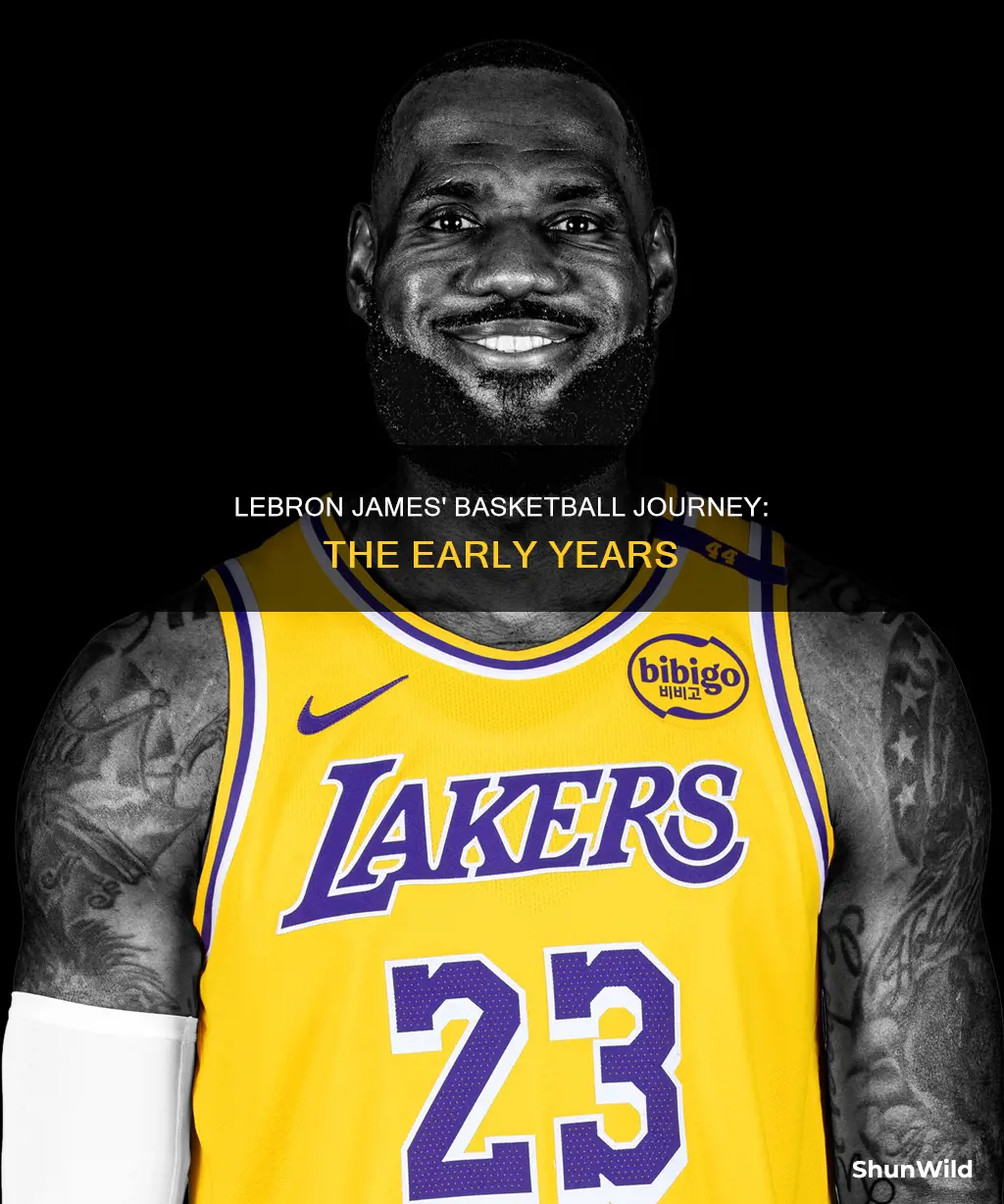 when did lebron james start his basketball career
